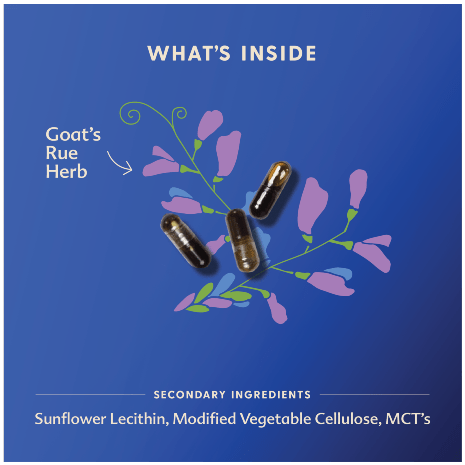 Goat's Rue Capsules