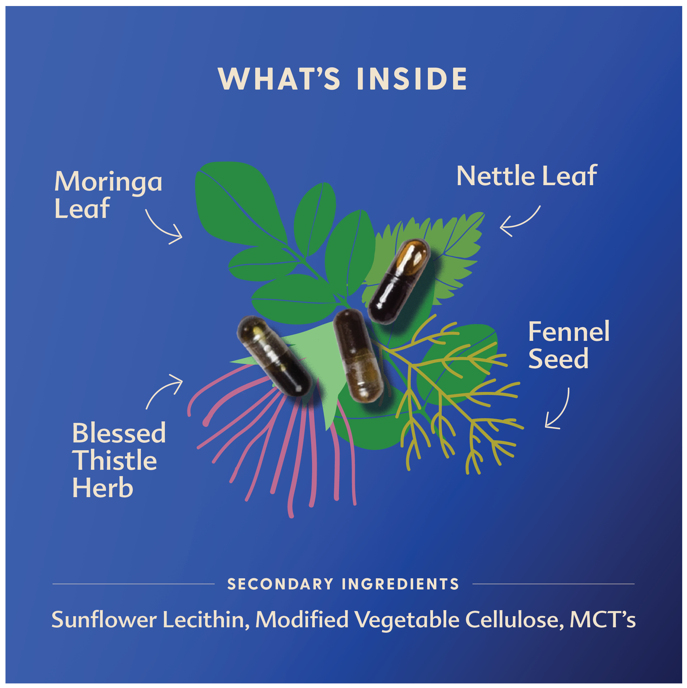More Milk® Moringa