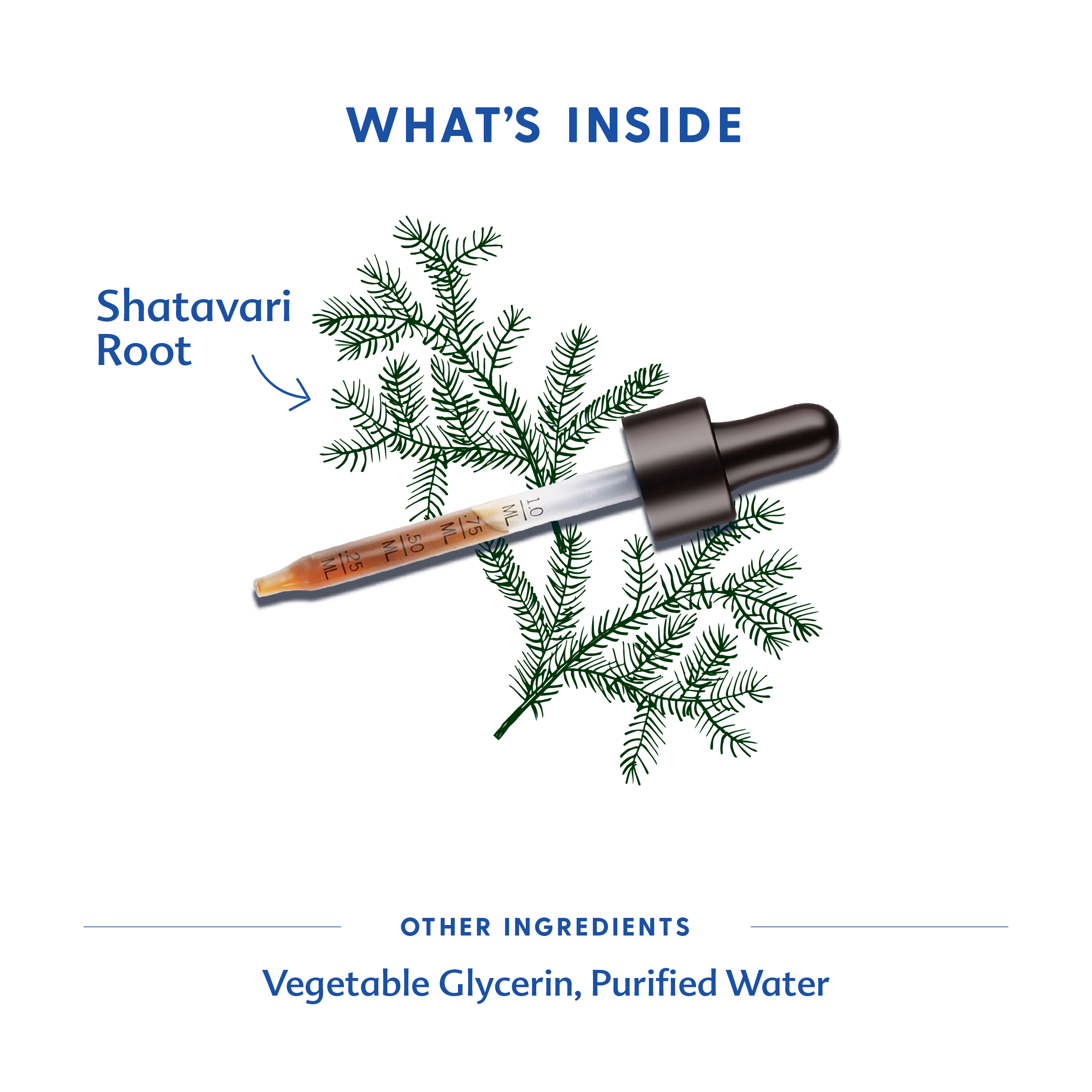 Shatavari - Tincture