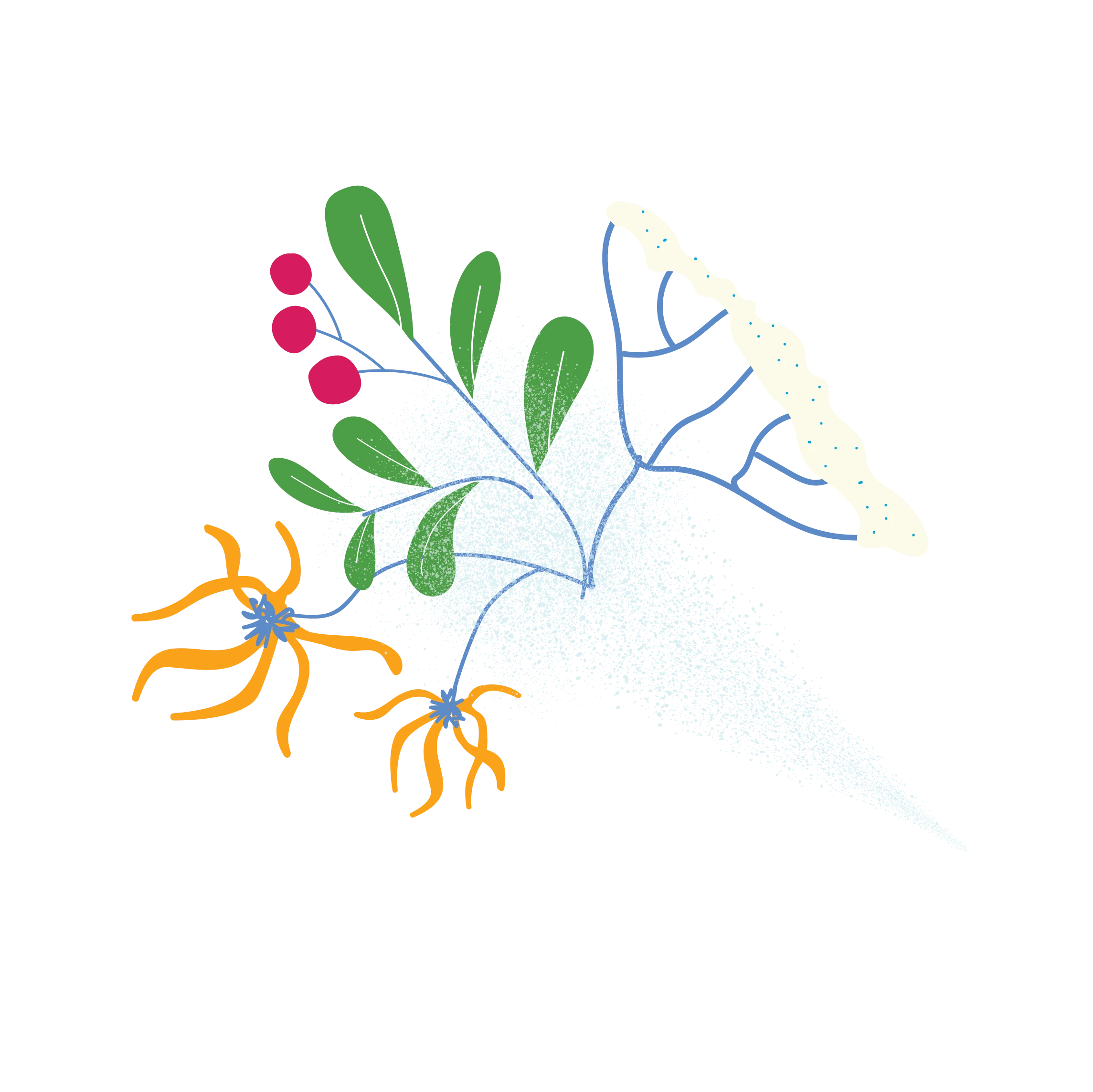 Description Image